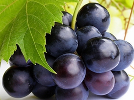 �c(di��n)���鿴Ԕ��(x��)