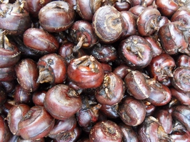 �c(di��n)���鿴Ԕ��(x��)